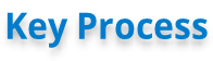 Key Process